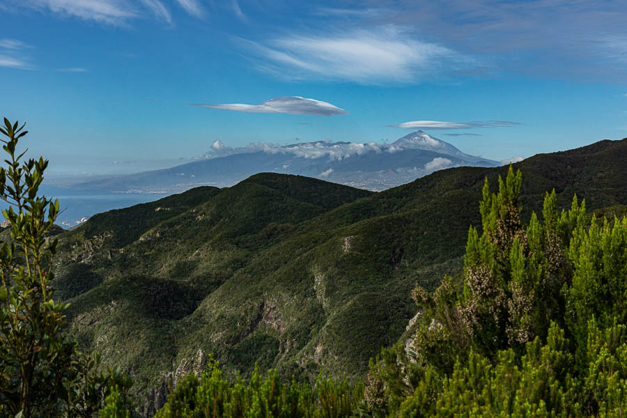 Teide