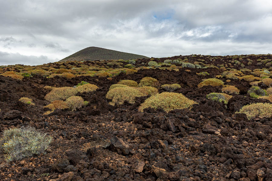 Malpaís de Güímar : coulée de lave