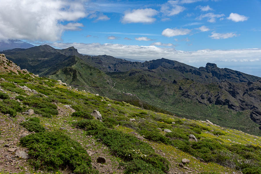 Teno : vue vers Carrizal Alto