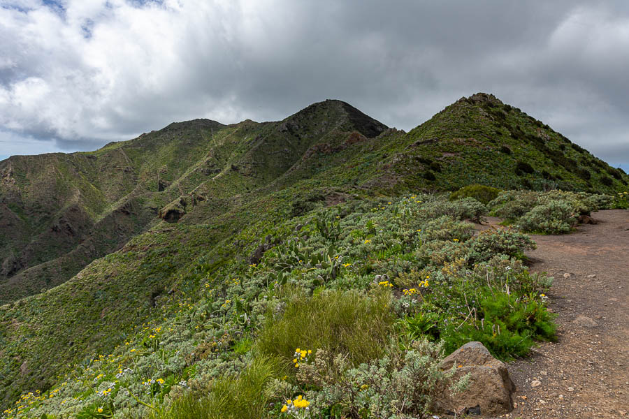 Massif du Teno : sentier de crête