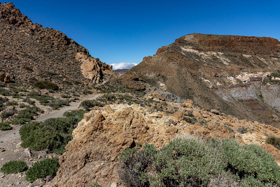 Guajara :  col, 2400 m