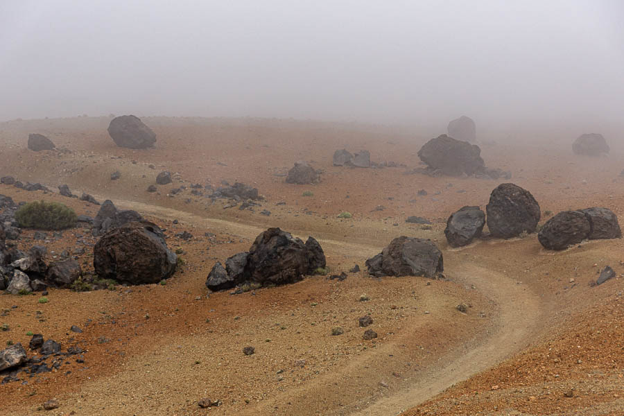 Huevos del Teide