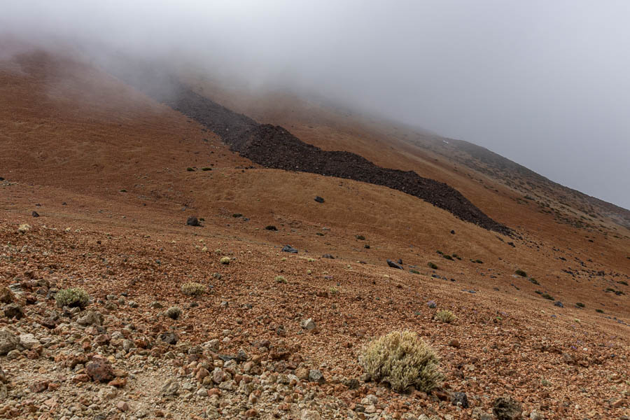 Teide : coulée de lave récente