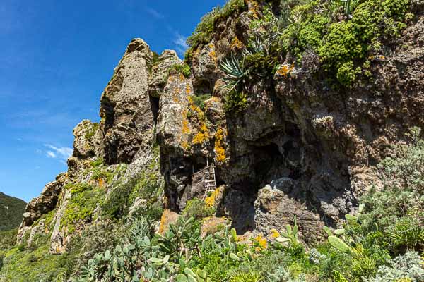 Chamorga : grotte