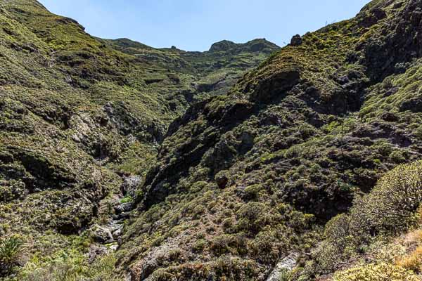 Ravin entre Roque Bermejo et Chamorga