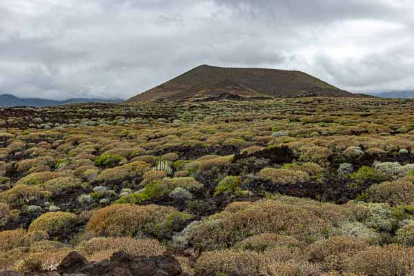 Malpaís de Güímar : coulée de lave et Montaña Grande