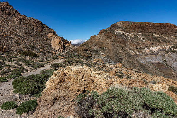 Guajara :  col, 2400 m