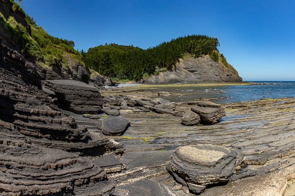 Flysch