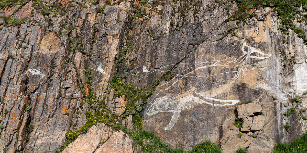Sisimiut : baleine