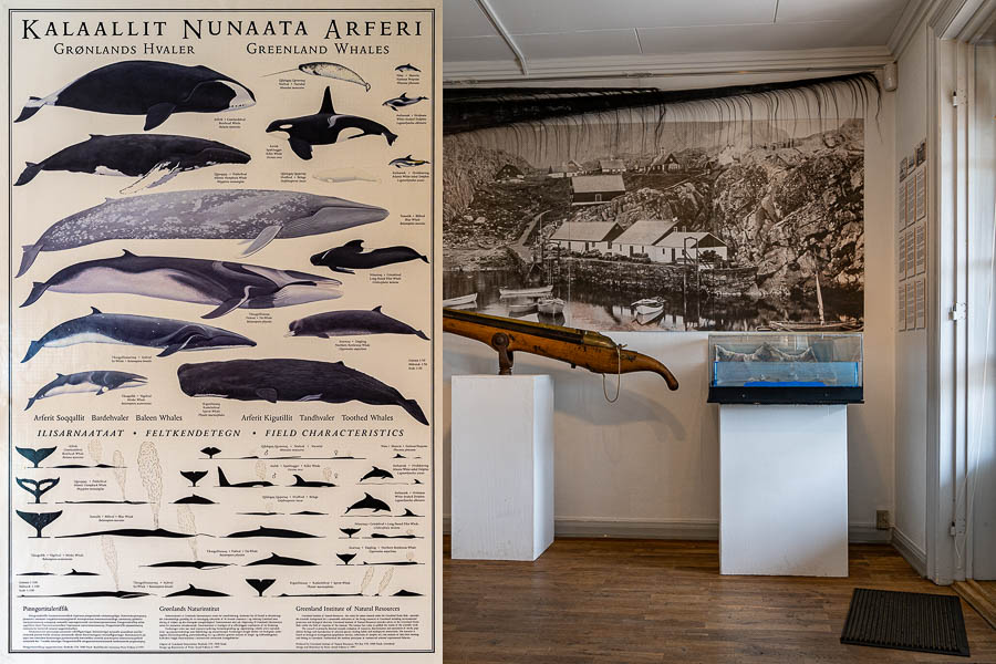 Sisimiut, musée : harpons