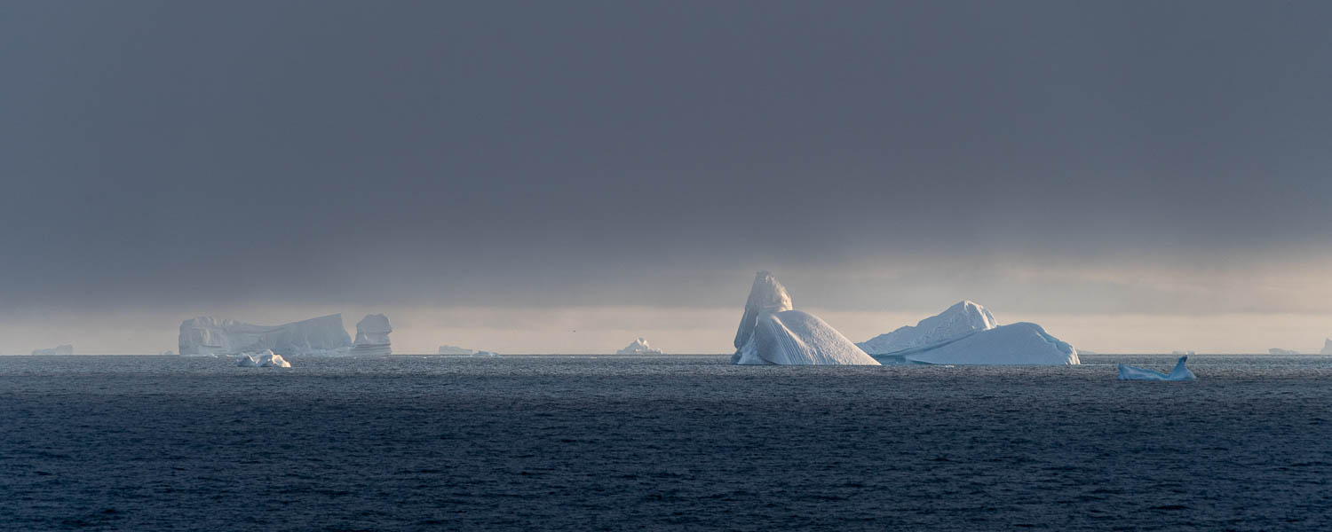 Baie de Qeqertarsuaq : icebergs