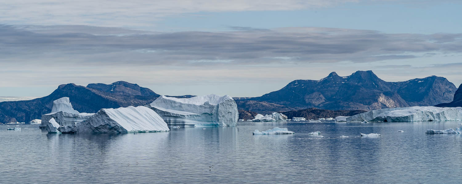 Fjord d'Uummannaq : icebergs