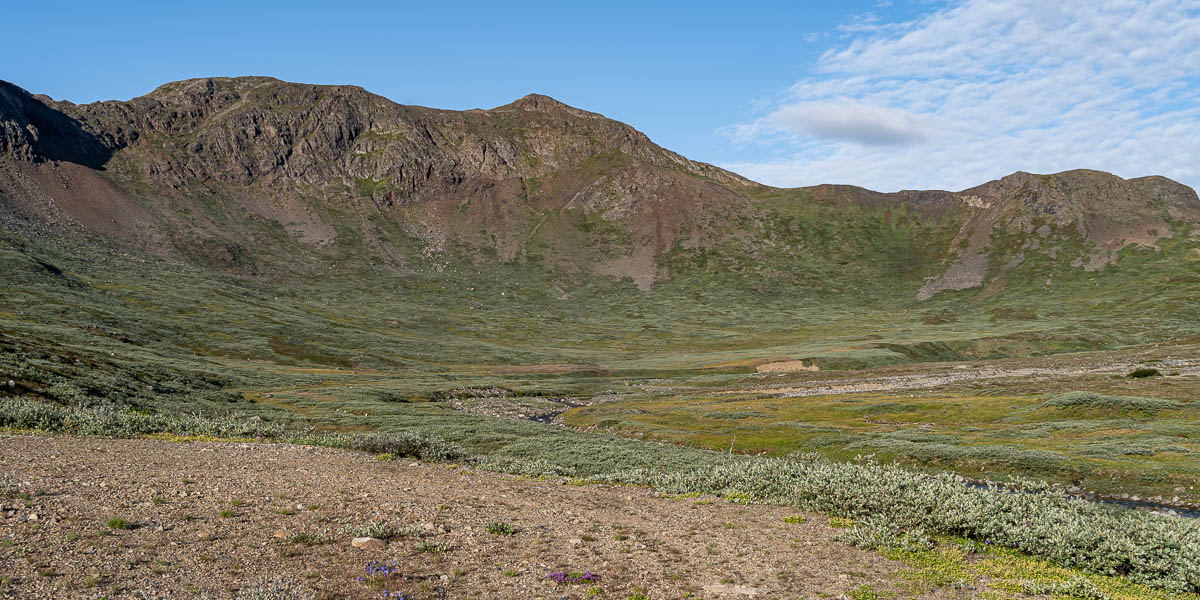 Kangilinnguit (Grønnedal) : vallée des bœufs musqués