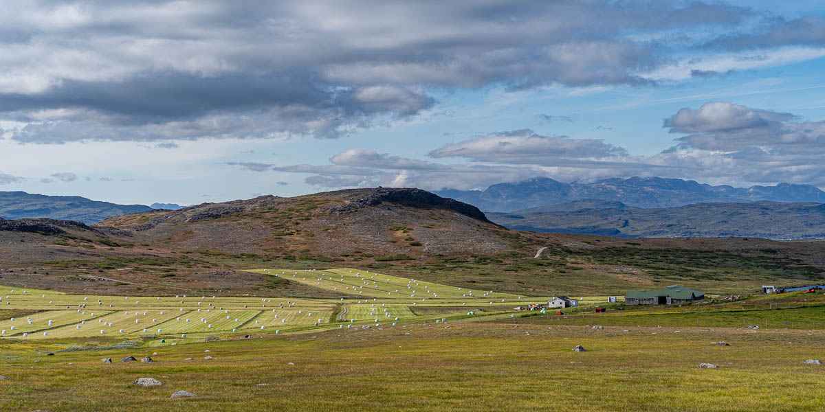 Igaliku : ferme, vue sur le Skovfjord