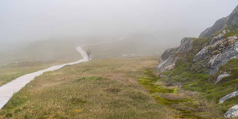 Ilulissat : sentier vers le fjord