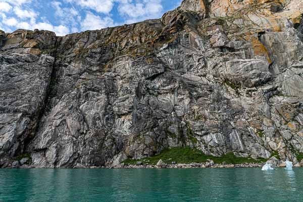 Kangerlussuatsiaq : colonie d'oiseaux
