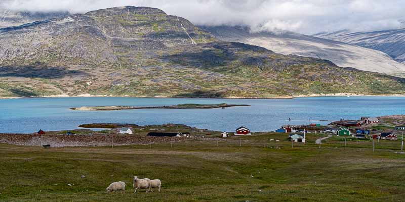 Igaliku : îlot où se trouvent des ruines viking