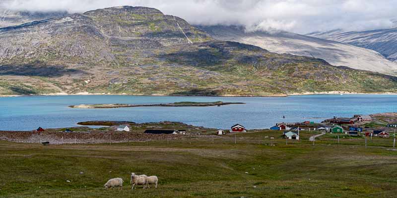 Igaliku : îlot où se trouvent des ruines vikings