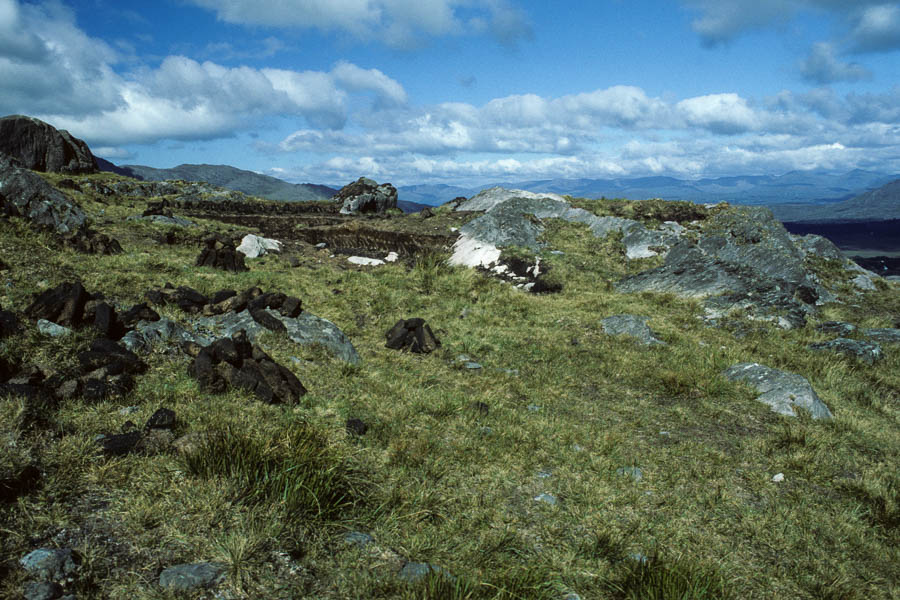 Healy Pass : tourbière