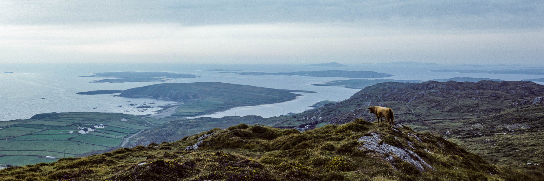 Clifden : Sky Road