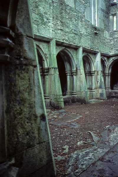 Muckross Abbey