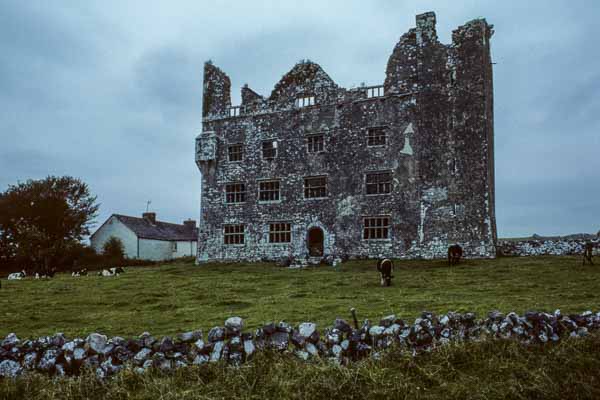Lemaneagh Castle