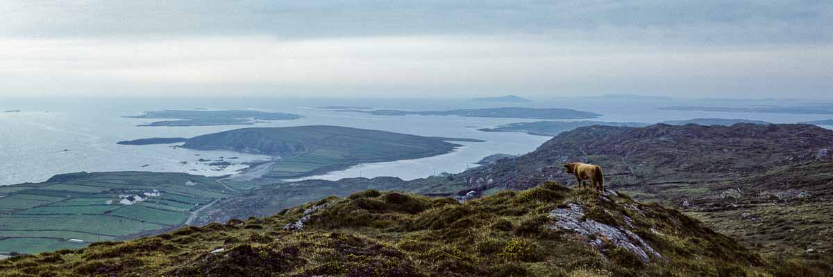 Clifden : Sky Road
