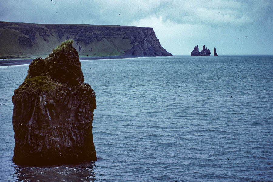 Dyrhólaey : falaise