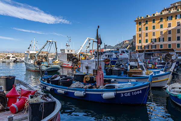 Camogli : port