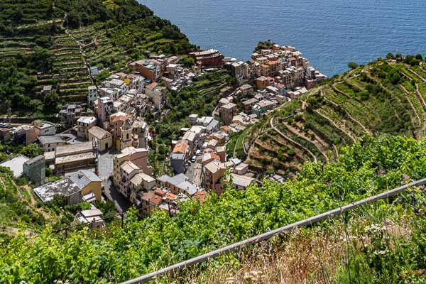 Manarola