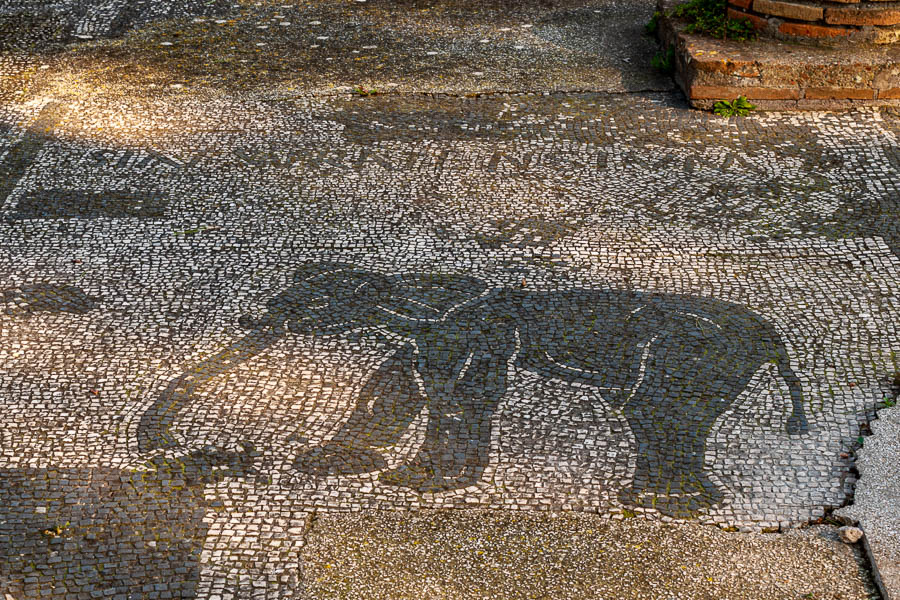 Ostia Antica : place des corporations, éléphant de Sabratha