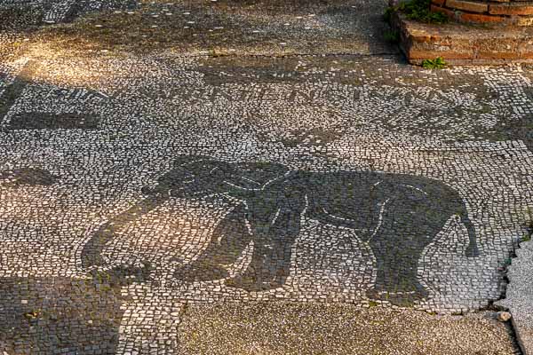 Ostia Antica : place des corporations, éléphant de Sabratha