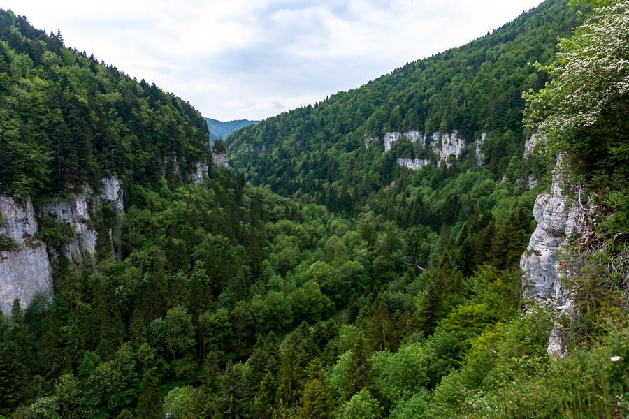 Gorges du Doubs depuis les Échelles de la Mort