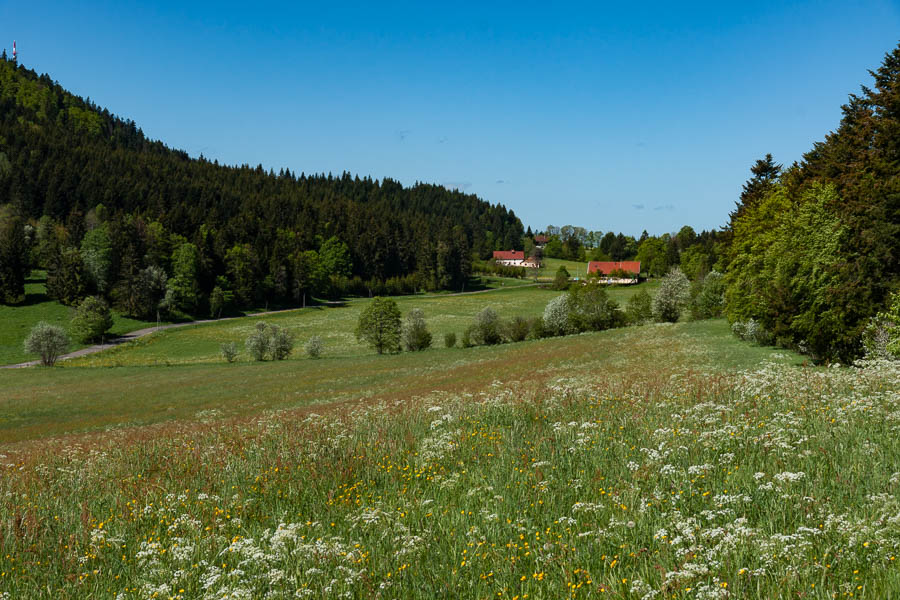 Sur la Roche