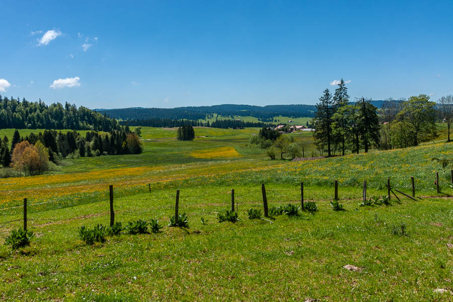 Près du Gardot