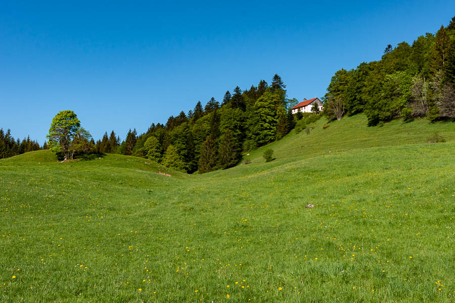 Côte du Cerf