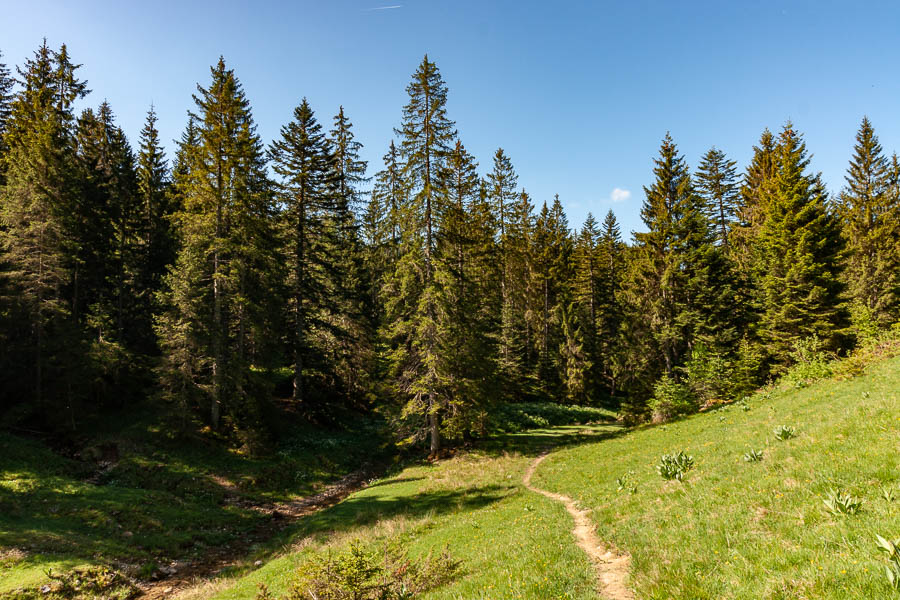 Près des Alliés