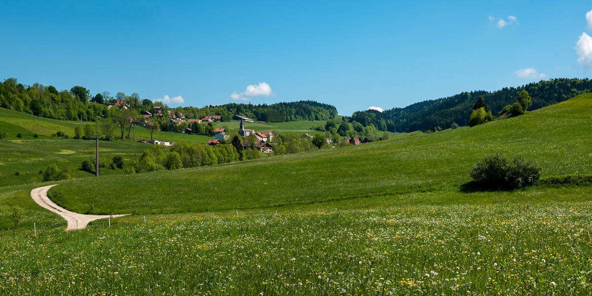 Les Alliés