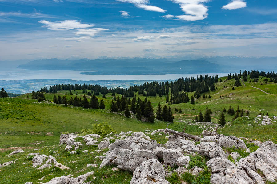 Le Léman