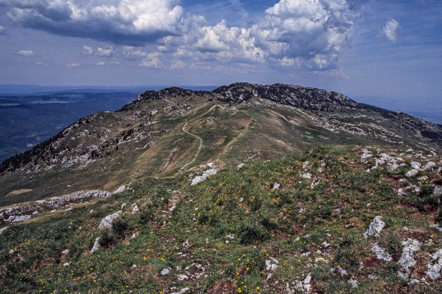 Crêt de la Neige, 1720 m, depuis le Reculet