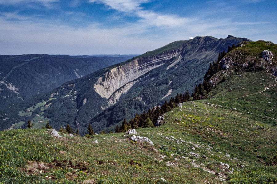 Roche Franche