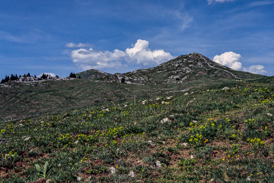 Le Grand Crêt d'Eau, Crêt du Milieu, 1603 m