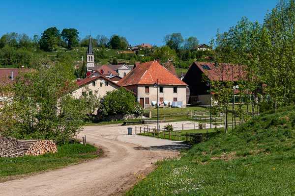 Les Alliés