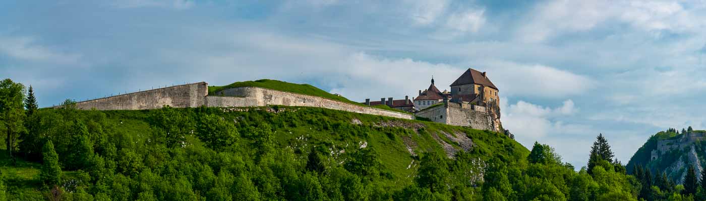 Château de Joux