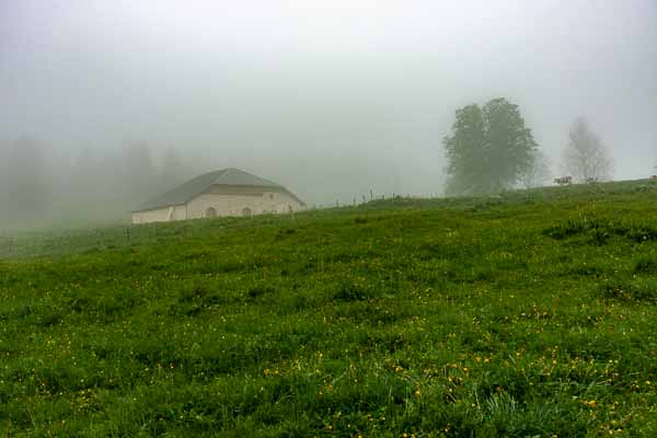 Ferme dans le brouillard