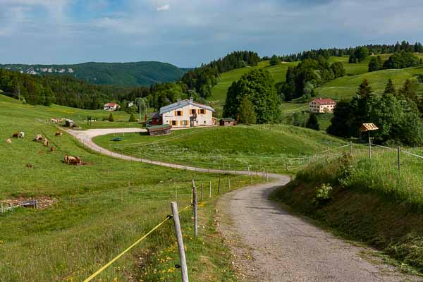 Gîte La Grenotte