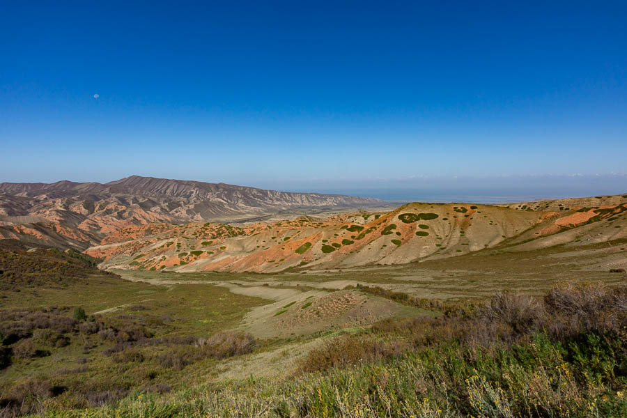 Cercles d'arbustes, Issyk Koul