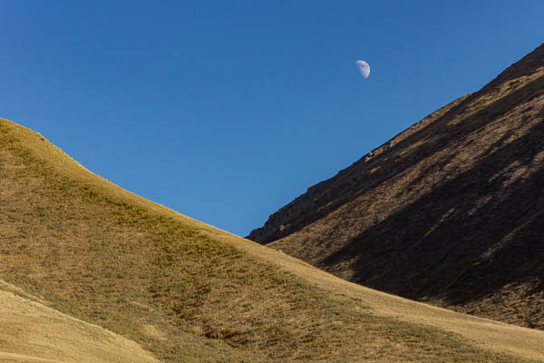 Lune