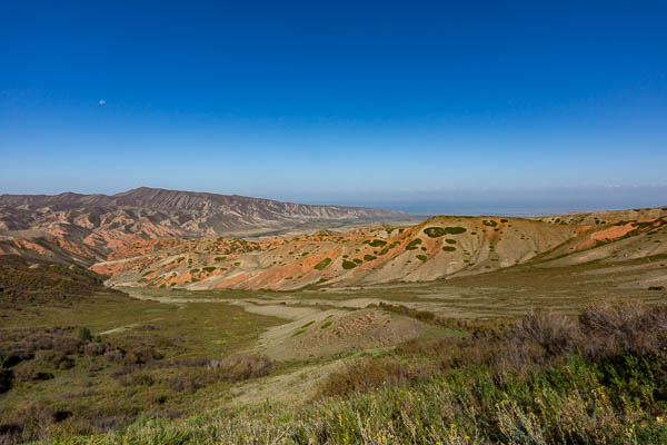 Cercles d'arbustes, Issyk Koul