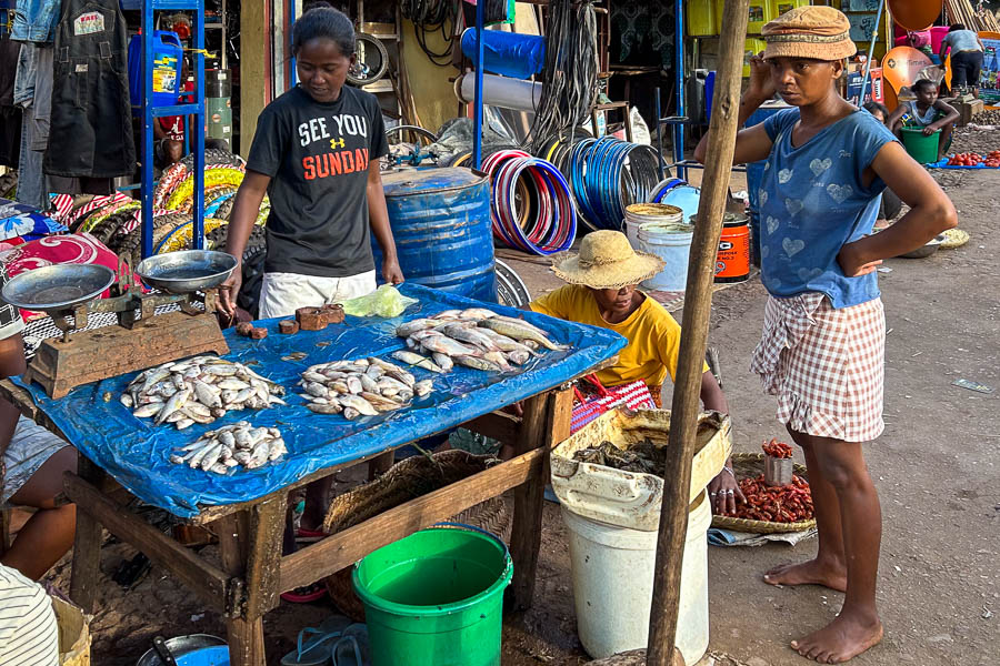 Marché de Tsiroanomandidy : poisson frais